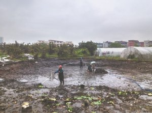 闻喜河道鱼塘清淤